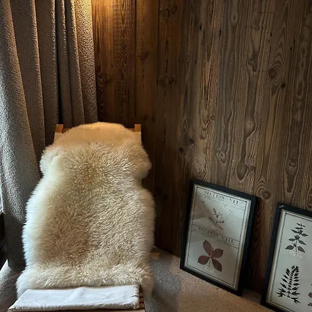 Appartement Cocon De Charme à Megève, Confort Et Vue